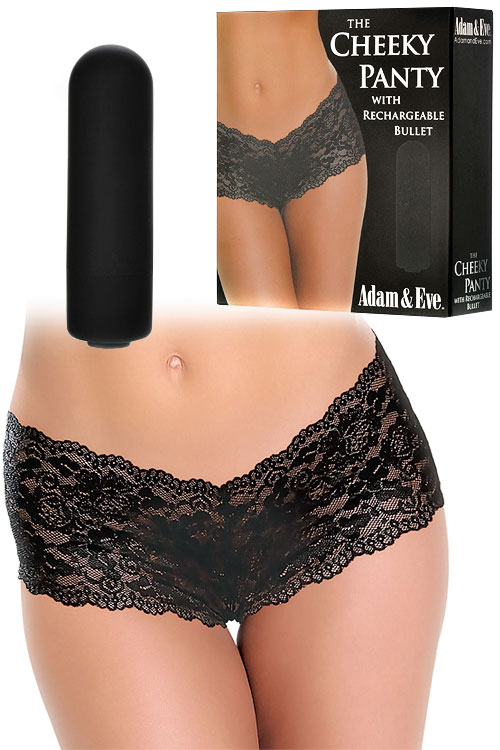 Lace Cheeky Panty With Removable Bullet Vibrator