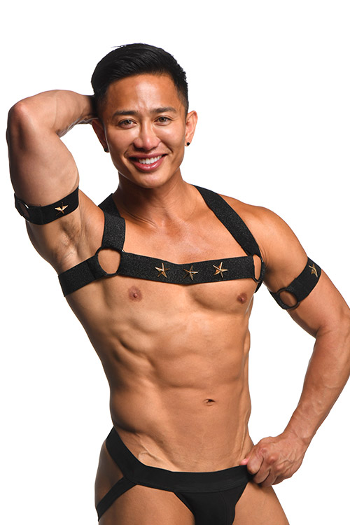 Master Series Rave Elastic Chest Harness with Arm Bands