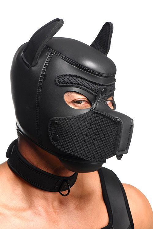 Master Series Full Pup Arsenal Neoprene Puppy Set with Hood, Chest Harness, Collar, Leash, & Arm Bands