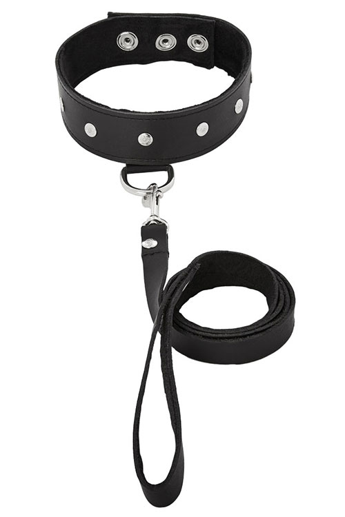 Studded Leather Collar with Leash